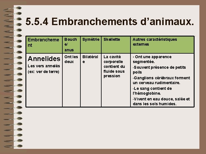 5. 5. 4 Embranchements d’animaux. Embrancheme nt Bouch e/ anus Symétrie Skellette Autres caractéristiques 5. 5. 4 Embranchements d’animaux. Embrancheme nt Bouch e/ anus Symétrie Skellette Autres caractéristiques