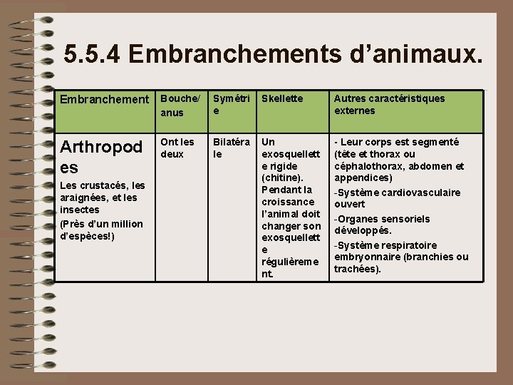 5. 5. 4 Embranchements d’animaux. Embranchement Bouche/ anus Symétri e Skellette Autres caractéristiques externes 5. 5. 4 Embranchements d’animaux. Embranchement Bouche/ anus Symétri e Skellette Autres caractéristiques externes