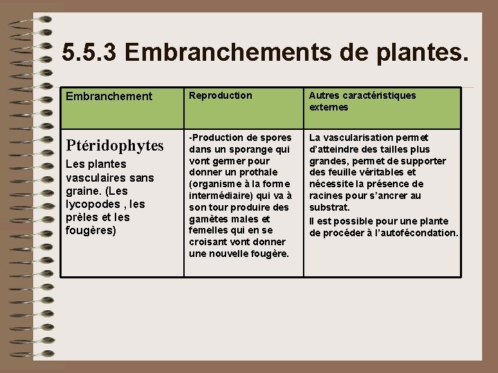 5. 5. 3 Embranchements de plantes. Embranchement Reproduction Autres caractéristiques externes Ptéridophytes -Production de 5. 5. 3 Embranchements de plantes. Embranchement Reproduction Autres caractéristiques externes Ptéridophytes -Production de