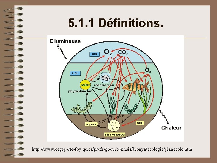 5. 1. 1 Définitions. http: //www. cegep-ste-foy. qc. ca/profs/gbourbonnais/bionya/ecologie/planecolo. htm 5. 1. 1 Définitions. http: //www. cegep-ste-foy. qc. ca/profs/gbourbonnais/bionya/ecologie/planecolo. htm