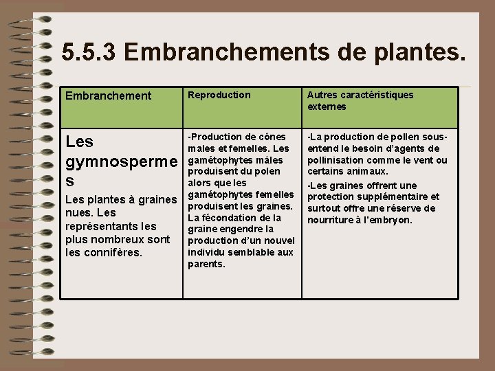 5. 5. 3 Embranchements de plantes. Embranchement Reproduction Autres caractéristiques externes Les gymnosperme s 5. 5. 3 Embranchements de plantes. Embranchement Reproduction Autres caractéristiques externes Les gymnosperme s
