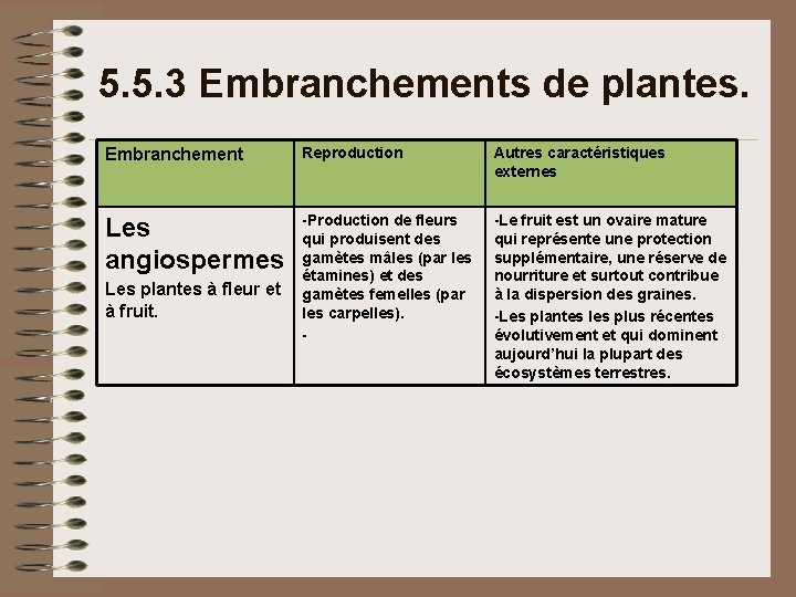 5. 5. 3 Embranchements de plantes. Embranchement Reproduction Autres caractéristiques externes Les angiospermes -Production 5. 5. 3 Embranchements de plantes. Embranchement Reproduction Autres caractéristiques externes Les angiospermes -Production