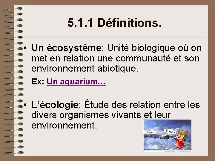 5. 1. 1 Définitions. • Un écosystème: Unité biologique où on écosystème met en 5. 1. 1 Définitions. • Un écosystème: Unité biologique où on écosystème met en