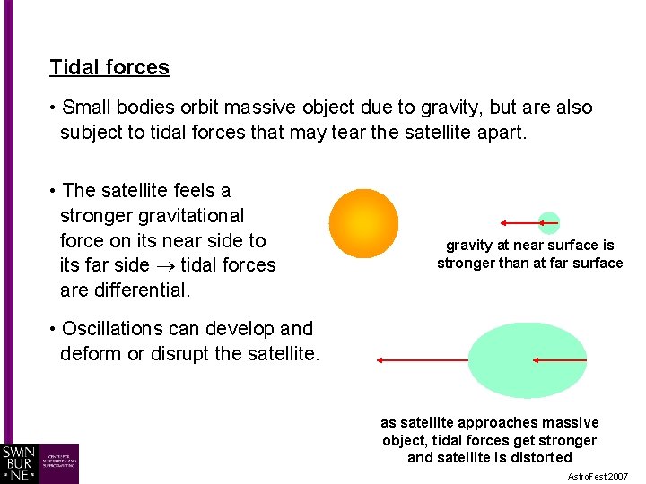 Tidal forces • Small bodies orbit massive object due to gravity, but are also