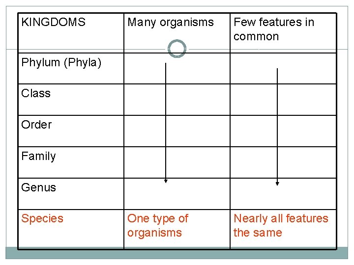 KINGDOMS Many organisms Few features in common One type of organisms Nearly all features KINGDOMS Many organisms Few features in common One type of organisms Nearly all features