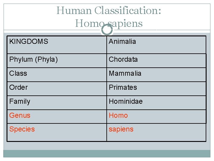 Human Classification: Homo sapiens KINGDOMS Animalia Phylum (Phyla) Chordata Class Mammalia Order Primates Family Human Classification: Homo sapiens KINGDOMS Animalia Phylum (Phyla) Chordata Class Mammalia Order Primates Family