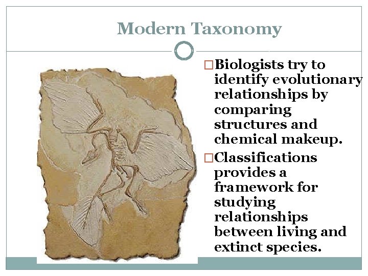 Modern Taxonomy �Biologists try to identify evolutionary relationships by comparing structures and chemical makeup. Modern Taxonomy �Biologists try to identify evolutionary relationships by comparing structures and chemical makeup.