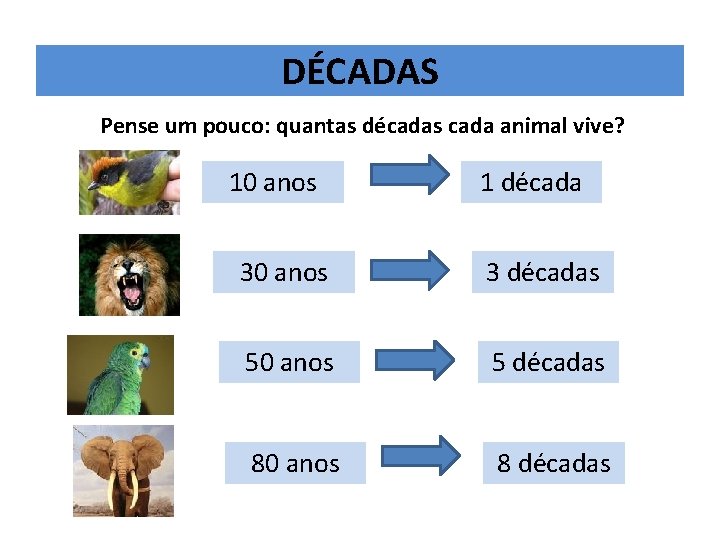 DÉCADAS Pense um pouco: quantas décadas cada animal vive? 10 anos 1 década 30