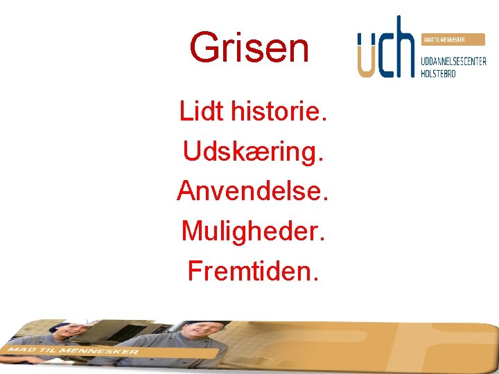 Grisen Lidt historie. Udskæring. Anvendelse. Muligheder. Fremtiden. 