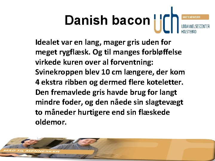 Danish bacon Idealet var en lang, mager gris uden for meget rygflæsk. Og til