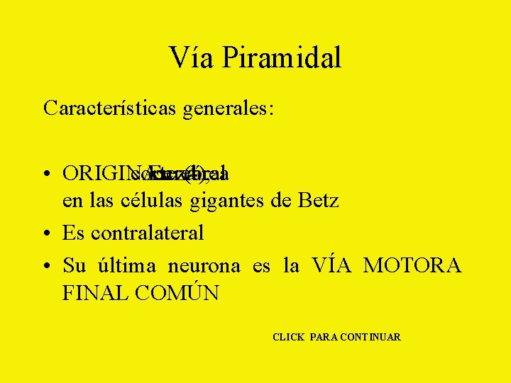 Vía Piramidal Características generales: • ORIGINA: corteza En cerebral (área 4), en las células