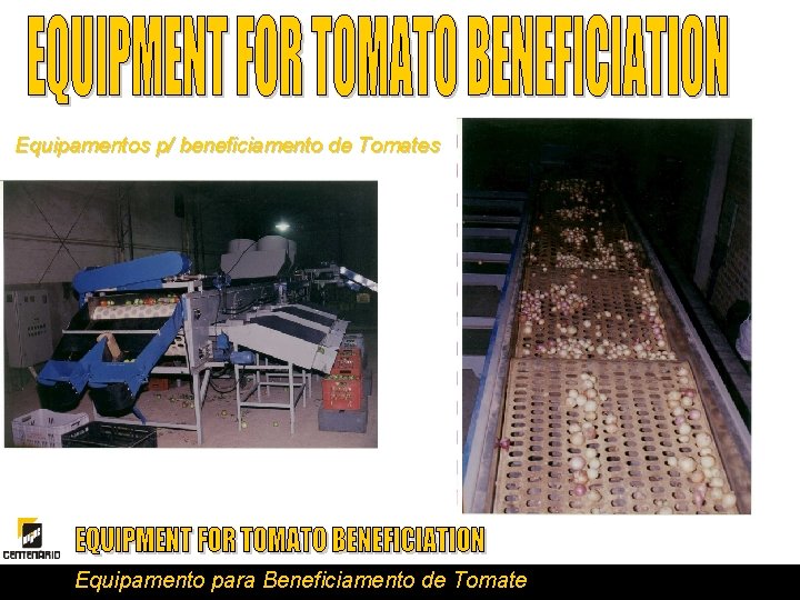 Equipamentos p/ beneficiamento de Tomates Equipamento para Beneficiamento de Tomate 