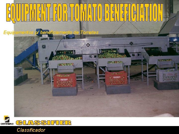 Equipamentos p/ beneficiamento de Tomates Classificador 
