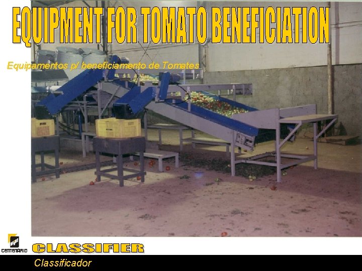 Equipamentos p/ beneficiamento de Tomates Classificador 