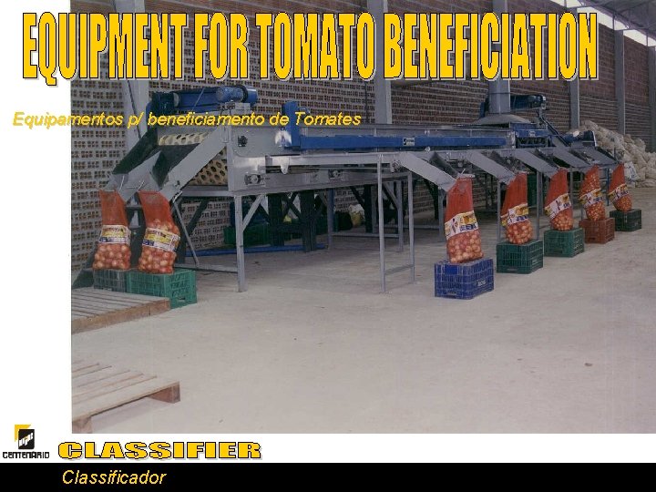 Equipamentos p/ beneficiamento de Tomates Classificador 