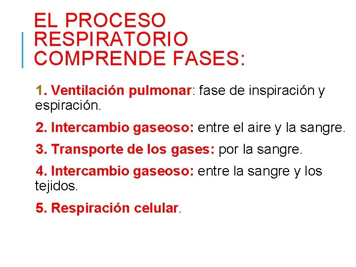 EL PROCESO RESPIRATORIO COMPRENDE FASES: 1. Ventilación pulmonar: fase de inspiración y espiración. 2.