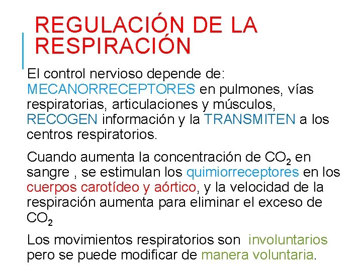 REGULACIÓN DE LA RESPIRACIÓN El control nervioso depende de: MECANORRECEPTORES en pulmones, vías respiratorias,