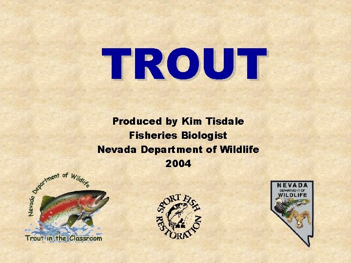 TROUT Produced by Kim Tisdale Fisheries Biologist Nevada Department of Wildlife 2004 