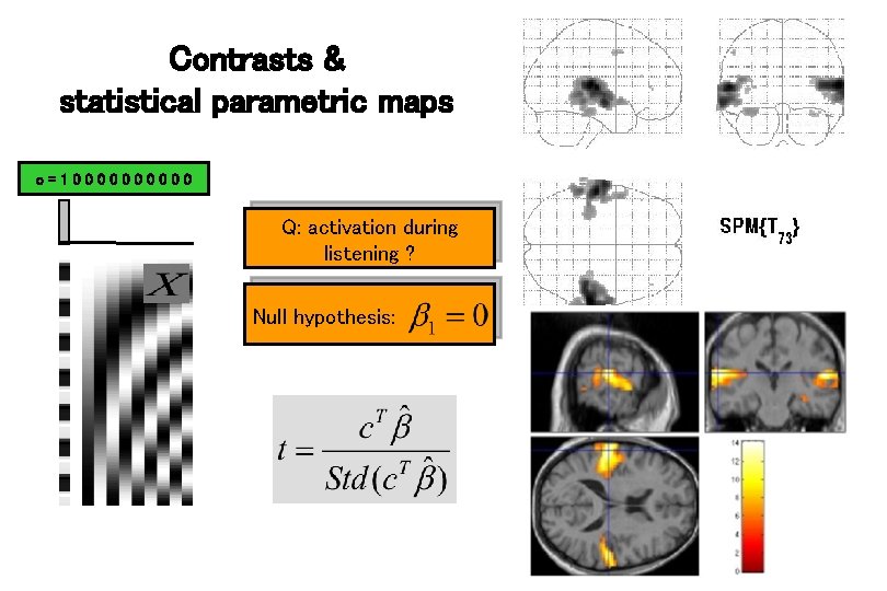 Contrasts & statistical parametric maps c=100000 Q: activation during listening ? Null hypothesis: 