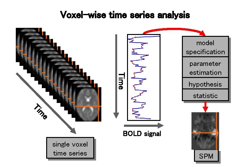 Voxel-wise time series analysis model specification Time parameter estimation hypothesis statistic e m Ti