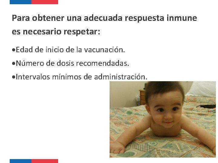 Para obtener una adecuada respuesta inmune es necesario respetar: Edad de inicio de la