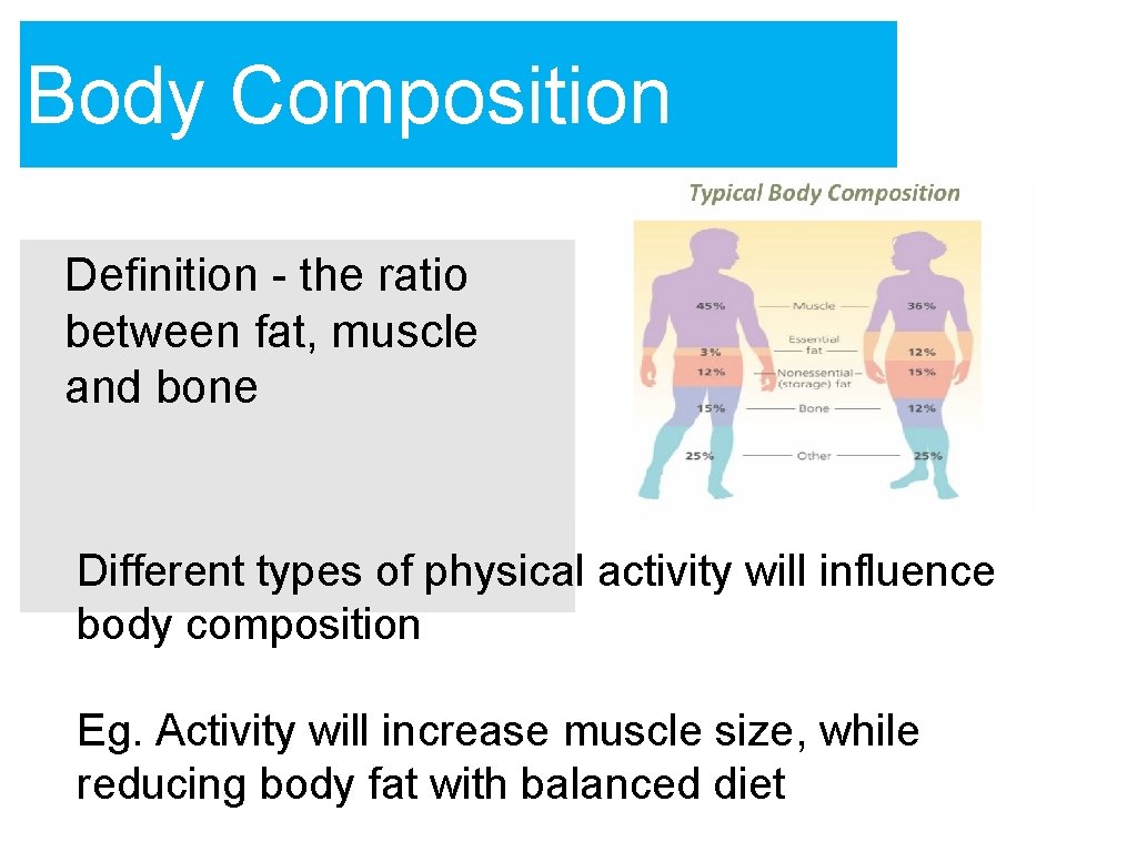 Body Composition Definition - the ratio between fat, muscle and bone Different types of