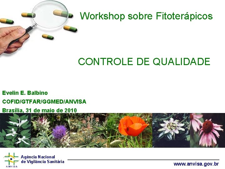Workshop sobre Fitoterápicos CONTROLE DE QUALIDADE Evelin E. Balbino COFID/GTFAR/GGMED/ANVISA Brasília, 31 de maio
