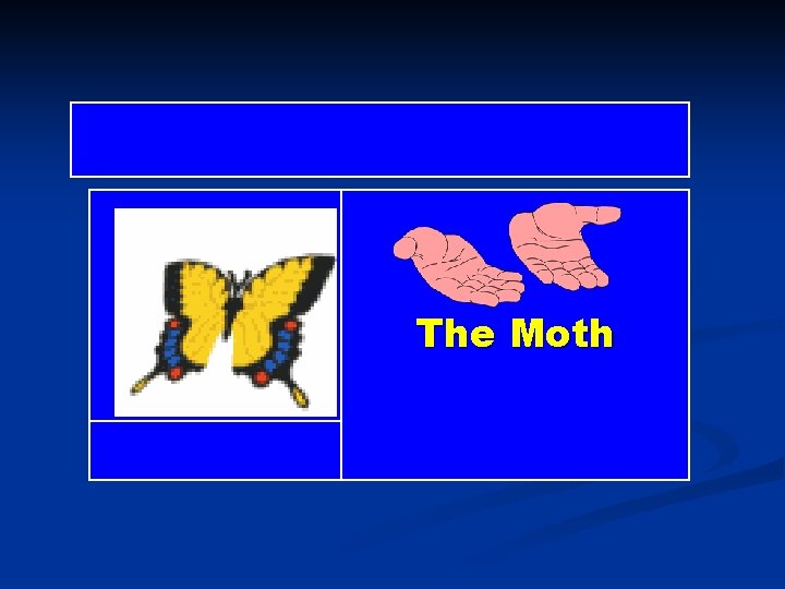 The Moth 