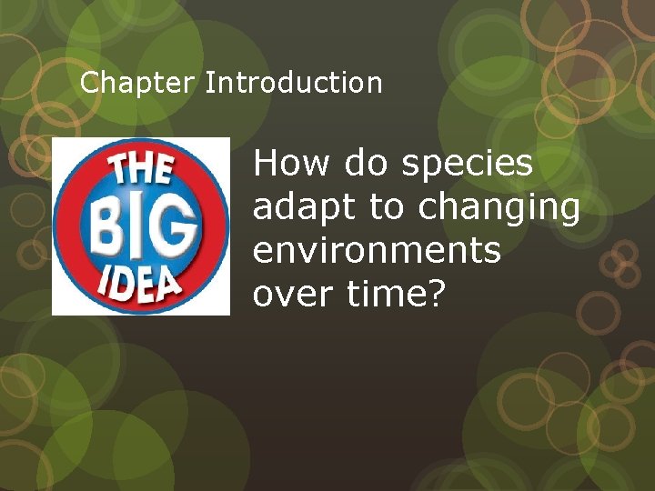Chapter Introduction How do species adapt to changing environments over time? 