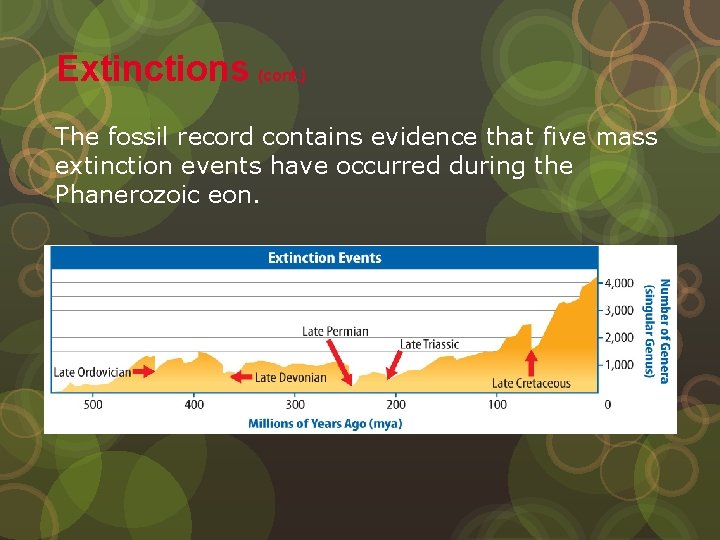 Extinctions (cont. ) The fossil record contains evidence that five mass extinction events have