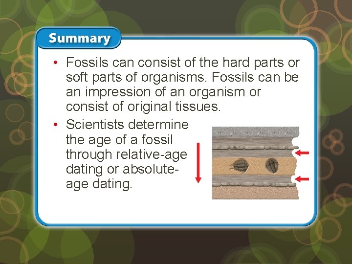  • Fossils can consist of the hard parts or soft parts of organisms.