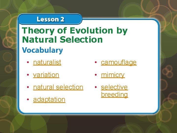 Theory of Evolution by Natural Selection • naturalist • camouflage • variation • mimicry
