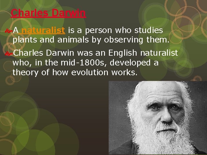 Charles Darwin A naturalist is a person who studies plants and animals by observing