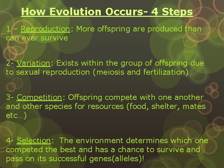 How Evolution Occurs- 4 Steps 1 – Reproduction: More offspring are produced than can