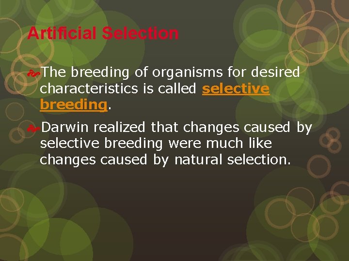 Artificial Selection The breeding of organisms for desired characteristics is called selective breeding. Darwin