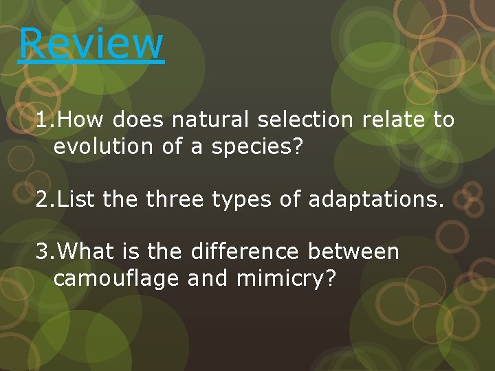 Review 1. How does natural selection relate to evolution of a species? 2. List