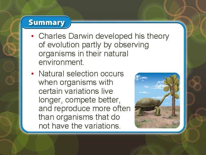  • Charles Darwin developed his theory of evolution partly by observing organisms in