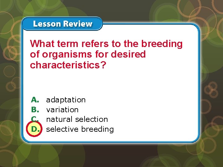 Lesson 2 – LR 3 What term refers to the breeding of organisms for