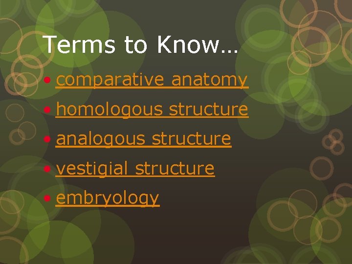 Terms to Know… • comparative anatomy • homologous structure • analogous structure • vestigial