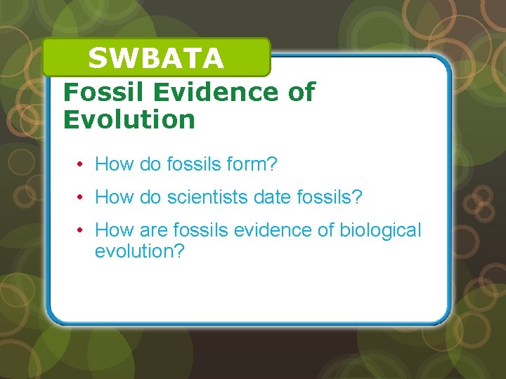 SWBATA Fossil Evidence of Evolution • How do fossils form? • How do scientists