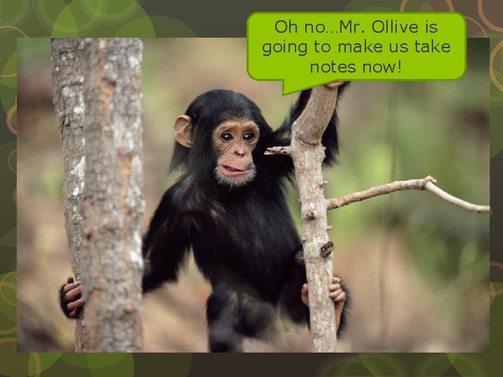 Oh no…Mr. Ollive is going to make us take notes now! 