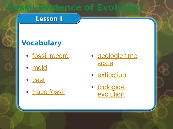 Fossil Evidence of Evolution • fossil record • mold • cast • trace fossil