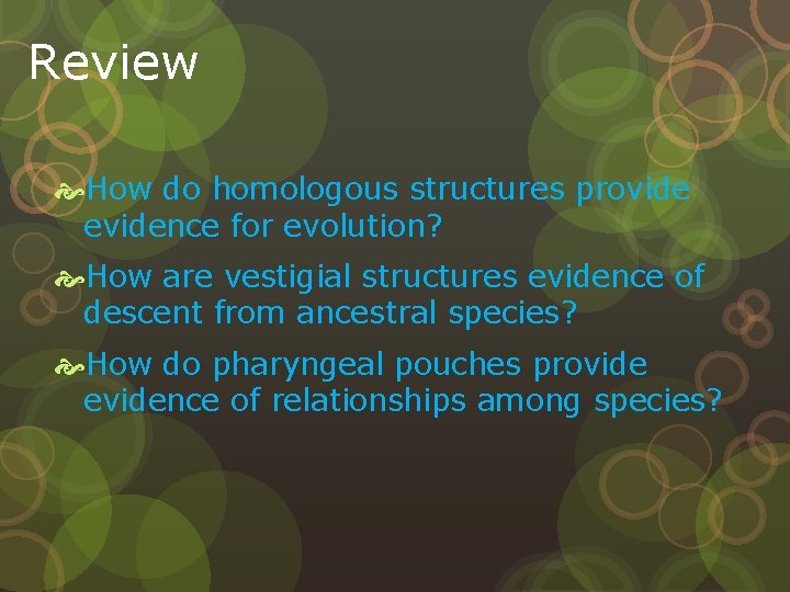 Review How do homologous structures provide evidence for evolution? How are vestigial structures evidence