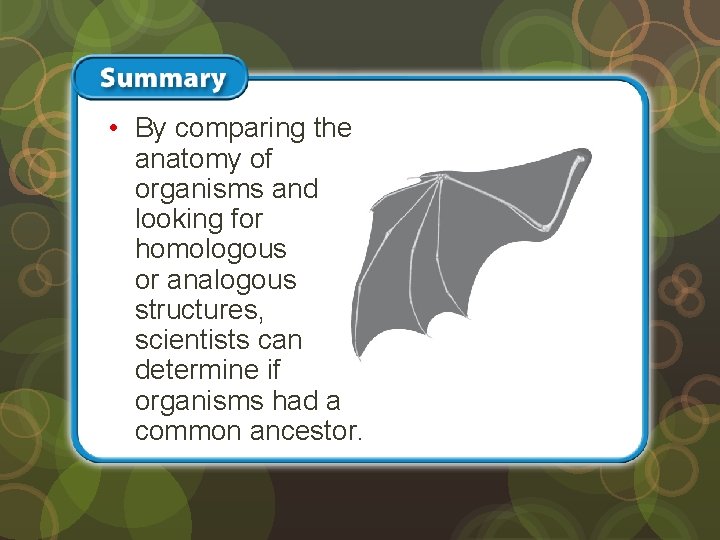  • By comparing the anatomy of organisms and looking for homologous or analogous