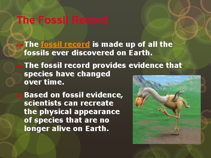 The Fossil Record The fossil record is made up of all the fossils ever