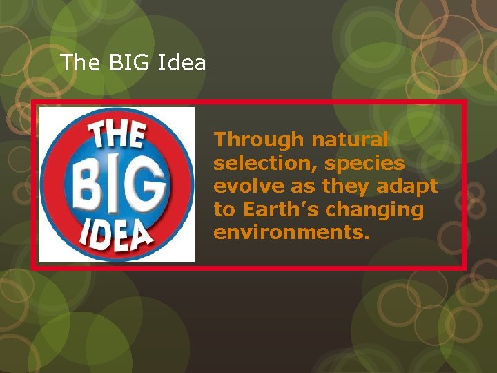 The BIG Idea Through natural selection, species evolve as they adapt to Earth’s changing
