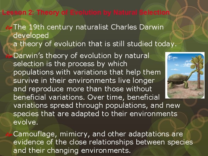 Lesson 2: Theory of Evolution by Natural Selection The 19 th century naturalist Charles