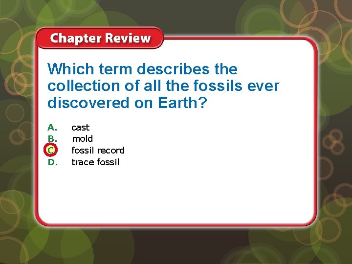 Which term describes the collection of all the fossils ever discovered on Earth? A.