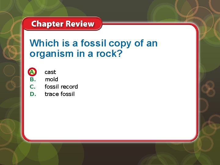 Which is a fossil copy of an organism in a rock? A. B. C.