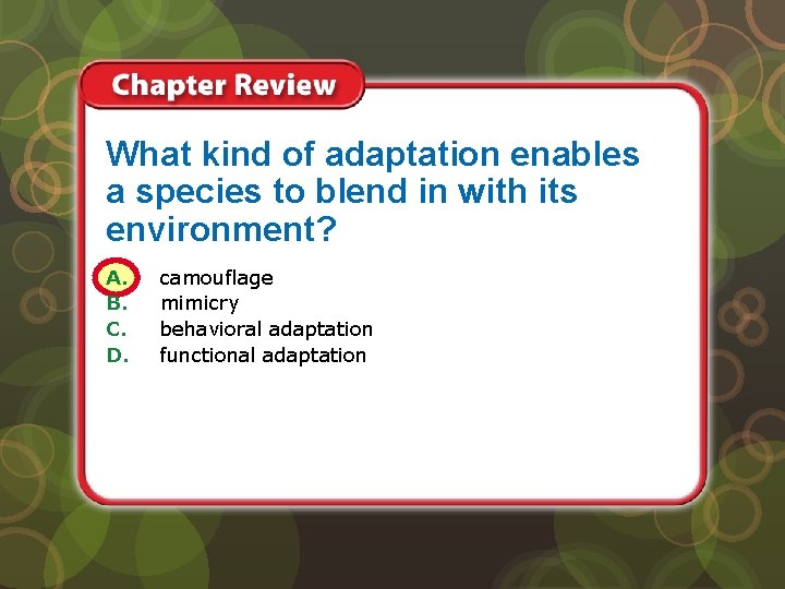 What kind of adaptation enables a species to blend in with its environment? A.